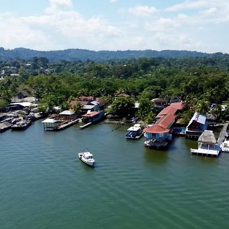 Hotel El Delfin Livingston Bagian luar foto