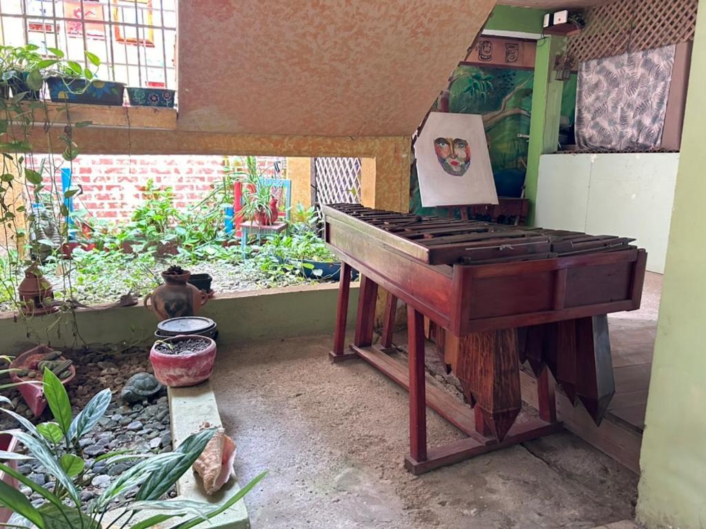 Hotel El Delfin Livingston Bagian luar foto