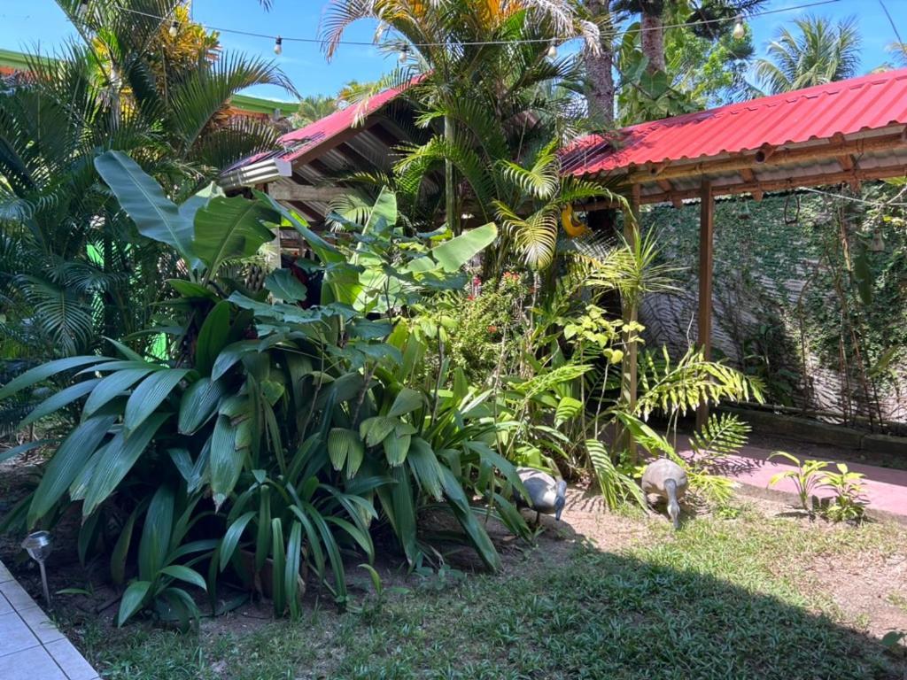 Hotel El Delfin Livingston Bagian luar foto