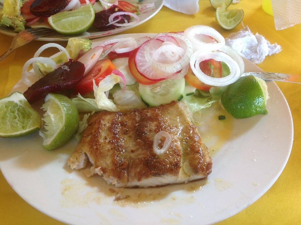 Hotel El Delfin Livingston Bagian luar foto